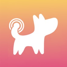 Doid app icon